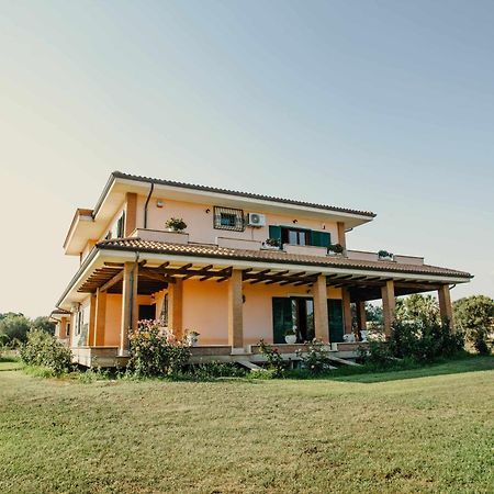 Bed And Breakfast Villa Romano Anzio Oda fotoğraf