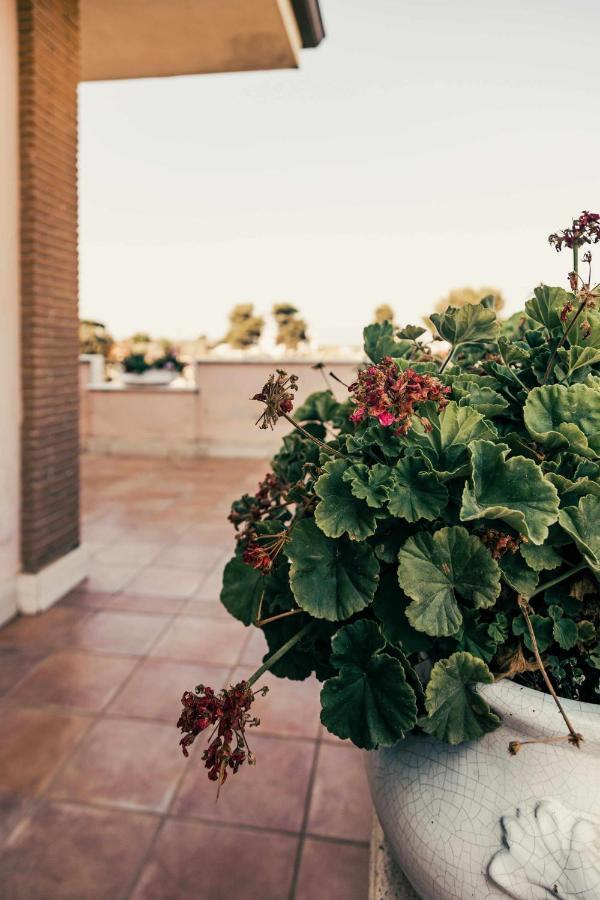 Bed And Breakfast Villa Romano Anzio Dış mekan fotoğraf